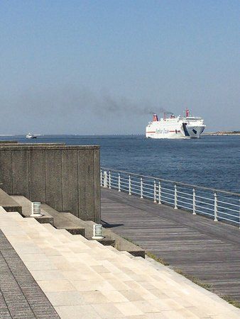 シーサイドコスモ